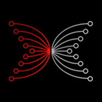 Input Output (IOHK)